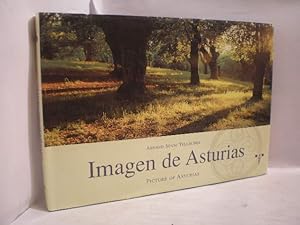 Bild des Verkufers fr Imagen de Asturias. Picture of Asturias zum Verkauf von Librera Antonio Azorn