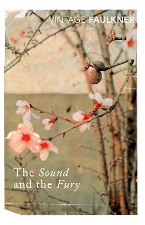 Seller image for The Sound and the Fury (Vintage classics) for sale by WeBuyBooks