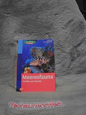 Immagine del venditore per Meeresfauna Karibik und Florida : 469 Arten in Wort und Bild. Maren und Werner Baumeister / Ulmer Naturfhrer venduto da TschaunersWelt
