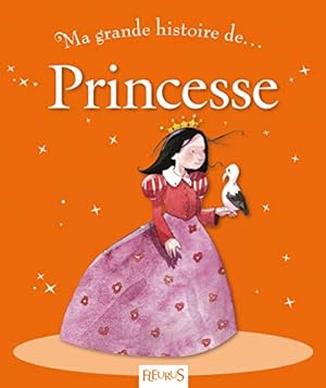 Image du vendeur pour Ma grande histoire de Princesse mis en vente par WeBuyBooks