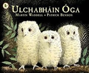 Imagen del vendedor de Ulchabhain Oga (Owl Babies) (Walker Eireann) (Irish Edition) by Waddell, Martin [Paperback ] a la venta por booksXpress