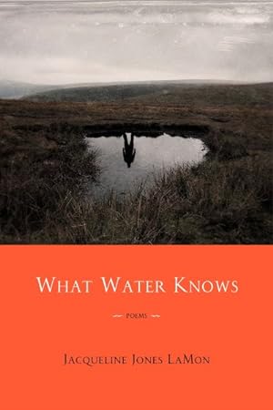 Imagen del vendedor de What Water Knows a la venta por GreatBookPrices