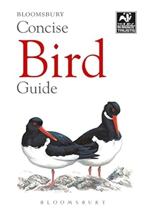 Imagen del vendedor de Concise Bird Guide (The Wildlife Trusts) by Bloomsbury Publishing PLC [Paperback ] a la venta por booksXpress
