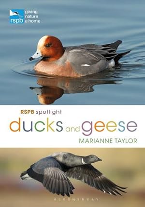 Imagen del vendedor de RSPB Spotlight Ducks and Geese by Taylor, Marianne [Paperback ] a la venta por booksXpress