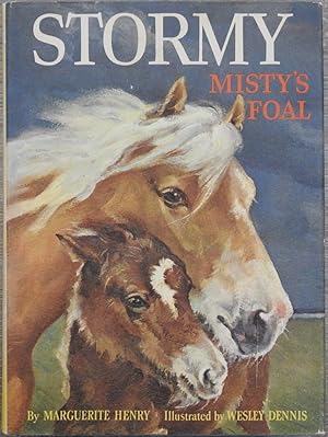 Stormy : Misty's Foal