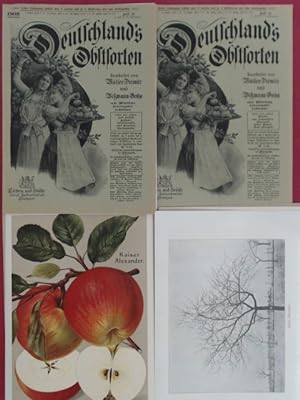 Deutschlands (Deutschland's) Obstsorten, 4. Jahrgang (vollständig in 3 Heften). 12 Apfelsorten. H...