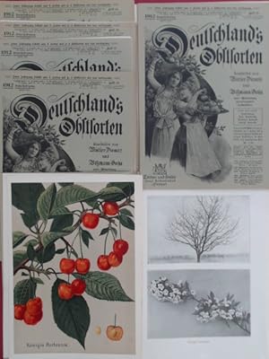 Deutschlands (Deutschland's) Obstsorten, 8. Jahrgang (Doppeljahrgang) (vollständig in 6 Heften). ...