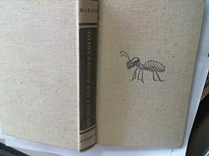 Bild des Verkufers fr Die Seele der Weissen Ameise zum Verkauf von Antiquariat Maiwald