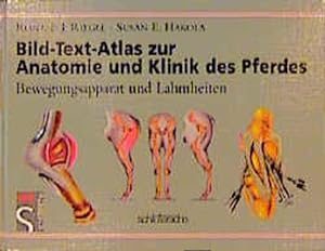 Bild des Verkufers fr Bild-Text-Atlas zur Anatomie und Klinik des Pferdes: Bewegungsapparat und Lahmheiten zum Verkauf von Studibuch