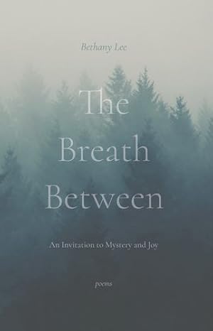 Seller image for The Breath Between: An Invitation to Mystery and Joy by Lee, Bethany [Paperback ] for sale by booksXpress