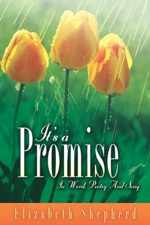 Image du vendeur pour It's a Promise by Shepherd, Elizabeth [Paperback ] mis en vente par booksXpress