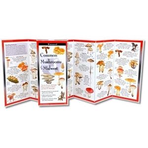 Image du vendeur pour Common Mushrooms of the Midwest [Paperback ] mis en vente par booksXpress