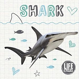 Seller image for Life Cycle of a Shark (Life Cycles) by Kirsty Holmes (author) [Hardcover ] for sale by booksXpress