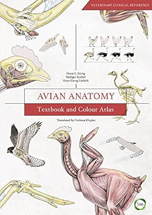 Image du vendeur pour Avian Anatomy: Textbook and Colour Atlas (Second Edition) [Hardcover ] mis en vente par booksXpress