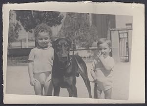 Cane Alano con due bambini piccoli, 1930 Fotografia epoca, Vintage Photo