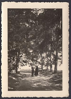 A colloquio col Parroco nel viale alberato, 1939 Fotografia vintage