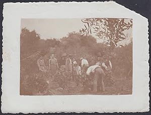 Famiglia contadini lavorano nell'orto 1920 Fotografia epoca, Vintage Photo