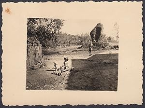 Agricoltura, Campo di ulivi, Bimba e cane su slitta, 1940 Fotografia vintage
