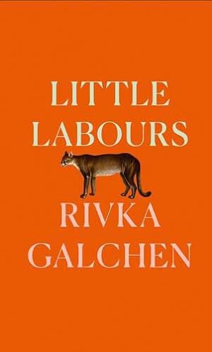 Seller image for Little Labours for sale by WeBuyBooks