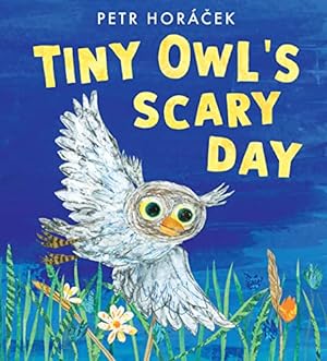 Bild des Verkufers fr Tiny Owl's Scary Day zum Verkauf von WeBuyBooks