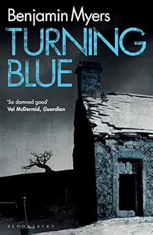 Bild des Verkufers fr Turning Blue zum Verkauf von WeBuyBooks