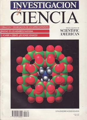 Bild des Verkufers fr Investigacin y Ciencia n 189. Junio 1992. Origen del hombre moderno. zum Verkauf von Librera y Editorial Renacimiento, S.A.