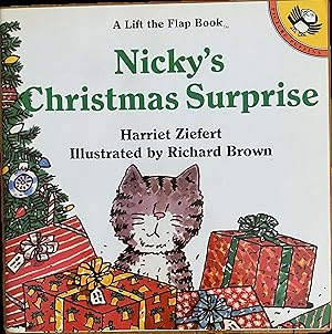 Nicky's Christmas Surprise