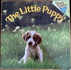 Imagen del vendedor de The Little Puppy a la venta por The Story Shoppe