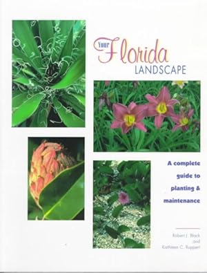 Bild des Verkufers fr Your Florida Landscape : A Complete Guide to Planting and Maintenance : Trees, Palms, Shrubs, Ground Covers and Vines zum Verkauf von GreatBookPricesUK