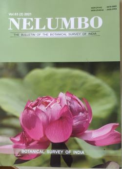 Seller image for The Bulletin of the Botanical Survey of India : Nelumbo: Vol. 63 (2) for sale by Vedams eBooks (P) Ltd