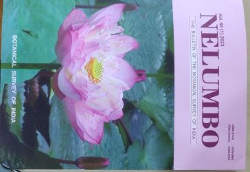 Seller image for The Bulletin of the Botanical Survey of India : Nelumbo: Vol. 65 (1) for sale by Vedams eBooks (P) Ltd