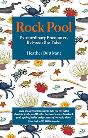 Immagine del venditore per Rock Pool: Extraordinary Encounters Between the Tides venduto da WeBuyBooks