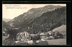 Ansichtskarte Steinbach bei Göstling, Blick auf Rothschild`s Jagdschloss