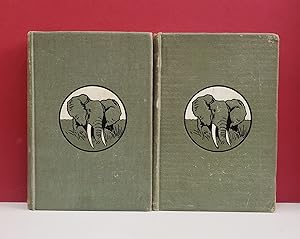 With Flashlight and Rifle: A Record of Hunting Adventures and of Studies in Wild Life in Equatori...