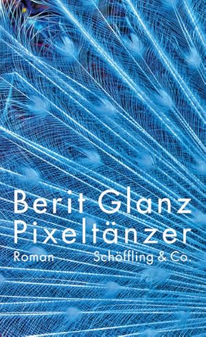Immagine del venditore per Pixeltnzer: Roman venduto da Versandantiquariat Felix Mcke