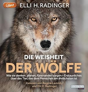 Die Weisheit der Wölfe: [Hörbuch/Audio-CD] Wie sie denken, planen, füreinander sorgen. Erstaunlic...