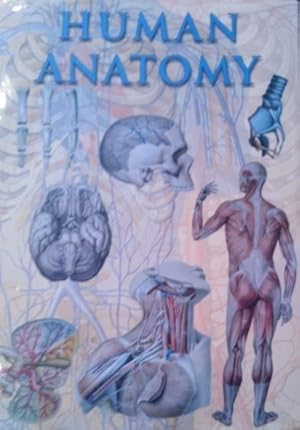 Bild des Verkufers fr Human Anatomy zum Verkauf von WeBuyBooks