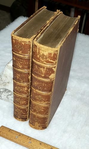 Journal of The Reign of King George the Third, From the Year 1771 to 1773 (Two Volumes)