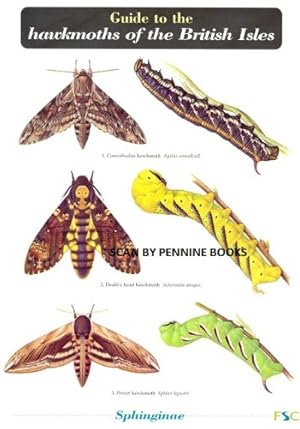 Bild des Verkufers fr Hawkmoths of the British Isles (WildID) zum Verkauf von WeBuyBooks