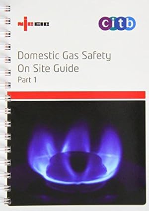 Seller image for Domestic Gas Safety on Site Guide (2-part Set) for sale by WeBuyBooks