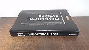 Imagen del vendedor de Mesolithic Europe a la venta por BoundlessBookstore