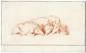 Antique Master Print-WILD-BOARS-Cootwijck-Potter-1724-1798
