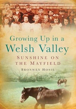 Bild des Verkufers fr Growing Up in a Welsh Valley zum Verkauf von WeBuyBooks