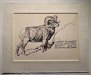 Bighorn Sheep Pen Drawing--Signed
