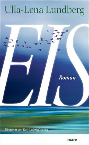 Seller image for Eis: Roman for sale by Versandantiquariat Felix Mcke