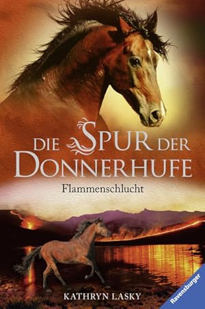 Seller image for Die Spur der Donnerhufe, Band 1: Flammenschlucht for sale by Versandantiquariat Felix Mcke