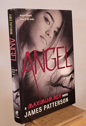 Angel: A Maximum Ride Novel (Maximum Ride, 7)