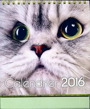 Calendrier 2016 chats - Collectif