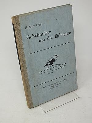 Imagen del vendedor de Geheimnisse um die Eiderente a la venta por Antiquariat Hans Wger