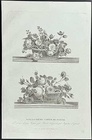 Arrangements of Flowers: Roses, Buttercup, Auricula